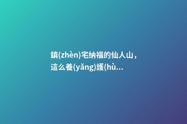 鎮(zhèn)宅納福的仙人山，這么養(yǎng)護(hù)，郁郁蔥蔥，真好看！